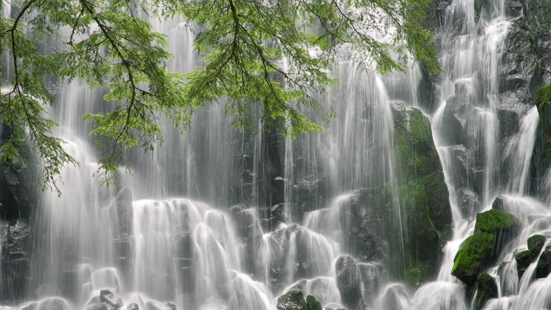 世界板球青少年营地课程评估与改进建议书，世界板球大赛
